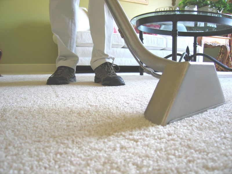 Carpet And Rug Cleaning For Homes With Pets