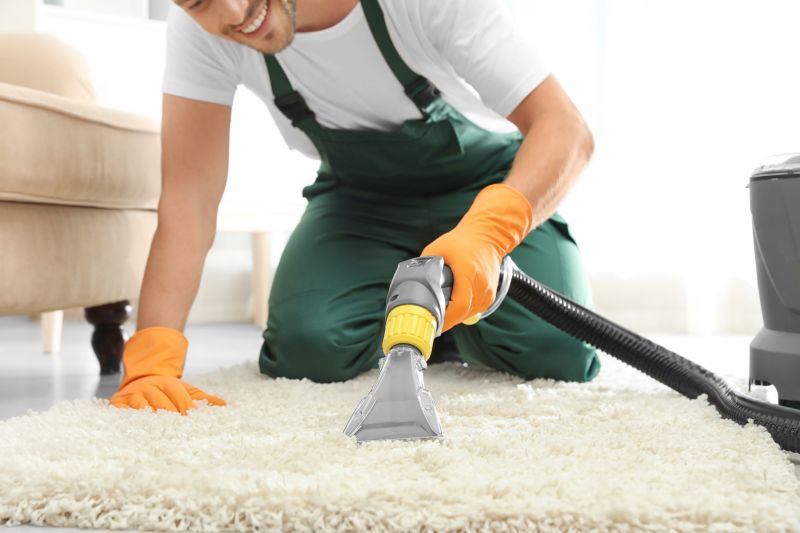 Carpet And Rug Cleaning For Homes With Pets