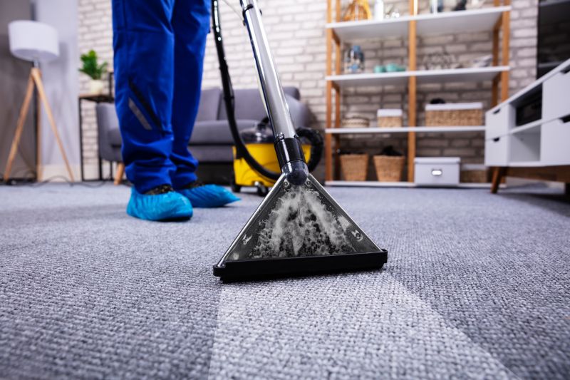 Carpet And Rug Cleaning For Homes With Pets